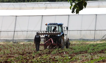 IPARD programlarıyla 14 yılda 26 bin proje desteklendi