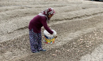 Kadınların ihracattaki payında Giresun ilk sıraya yerleşti