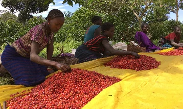 Kahve köpüğünü attı