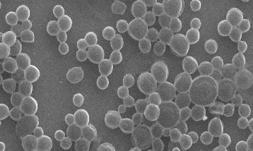 Kanser ilacını hedefine taşıyan 'mikrobaloncuk robot' geliştirildi