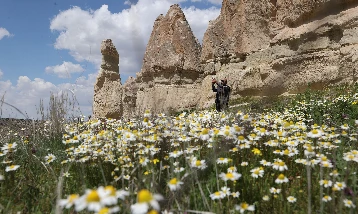 Kapadokya çiçeklerle buluştu