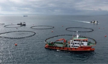 Karadeniz'in su ürünleri ihracat geliri yılın ilk ayında yüzde 46 arttı!