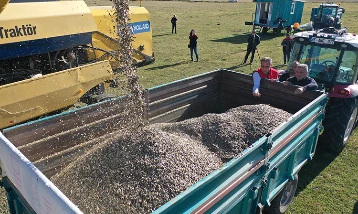 Kars’ta devlet desteğiyle yağlık ayçiçeğinde verim arttı