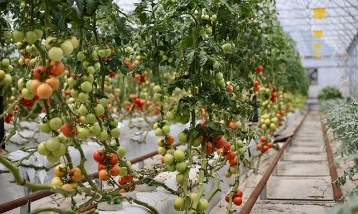 Kocaeli’de örnek uygulama: Volkanik toprak, yağmur suyu ile birleşti