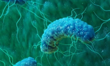 Kumaş boyamaya çevre dostu alternatif