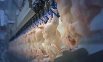 Kümes hayvancılığı verileri: Tavuk eti üretimi şubatta yıllık bazda arttı