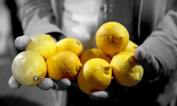 Limonda gümrük vergisi yeniden düzenlendi! 31 Temmuz'a kadar geçerli olacak