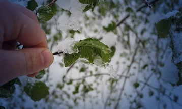 Meteorolojiden 40 ile sarı kodlu uyarı: Zirai don ve kuvvetli yağış geliyor