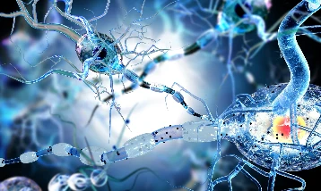 MS‘te nöron kaybının sırrı çözüldü: Tedavide DNA onarımı umudu