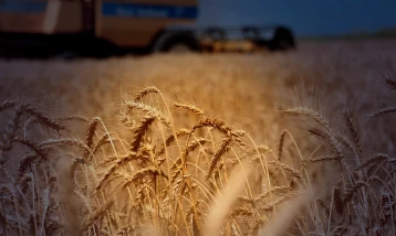 Ortadoğu'dan savaşın uzayacağı endişesi tarımsal emtiayı vurdu
