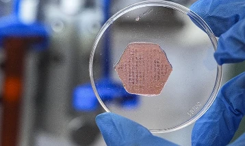 Probiyotik içeren yeni nesil yara örtüsü geliştirildi