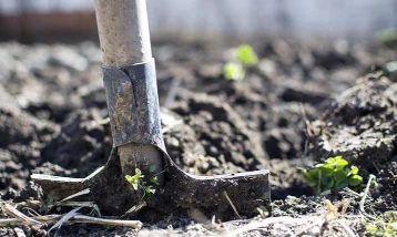 Rusya kükürt ihracat yasağını 30 Haziran’a uzattı