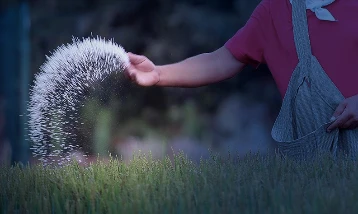 Rusya'dan gübre kararı: İhracat kısıtlamasını yıl sonuna uzattı