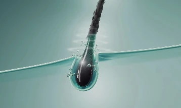 Saç hücreleri cilt onarımının anahtarı oluyor