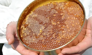 Sahte bala karşı yeni önlem: Temel petek denetimi geliyor