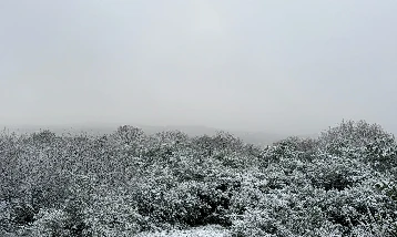 Sıcaklık düştü kar yağışı başladı: İstanbul'dan kar manzaraları