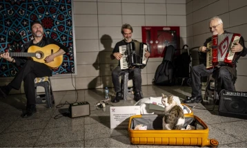 Sirkeci'de sokak sanatçılarına eşlik eden kedi yürekleri ısıtıyor