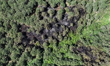 İstanbul, Sultangazi'de ormanlık alanda  yangın çıktı