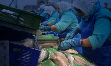 Su ürünlerinde ihracat rekoru: İlk iki ayda 381,9 milyon dolar