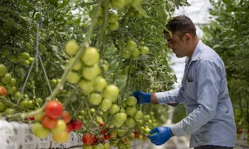 Tarım gençleşerek büyüyecek