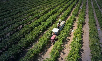 Tarım sektöründe küresel etki: Hürmüz Boğazı'ndaki aksamalar çiftçiyi vurdu
