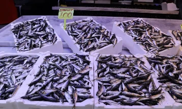 Tezgahta çeşit bol: Tirsi 75, sargan 600 lirayı gördü