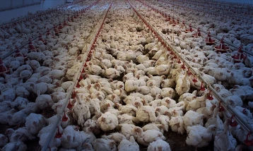 'Süreç hassasiyetle izleniyor'