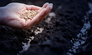 Tohum ihracatında rekor: Yüzde 141 karşılama oranı