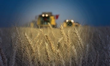 TÜİK verileri: Türkiye tarımda hangi üründe kendine ne kadar yeterli?