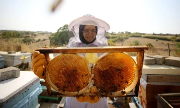 Türk balı 31 ülkeye ulaştı: İlk çeyrekte 9,2 milyon dolar gelir