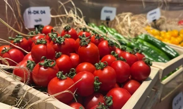 Türk tohumculuğu dünya sahnesinde