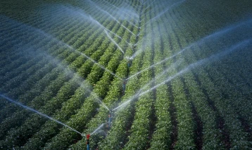 Türkiye'den 117 ülkeye tohum gönderiliyor: İhracat geliri 368 milyon dolara