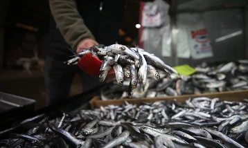 Türkiye'nin hamsi ihracatı 4 aylık periyotta 4,7 milyon dolar getirdi