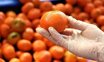 Turunçgil ihracatı yüzde 61 arttı