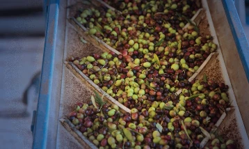 Türkiye zeytinyağında küresel pazarda yeni güç