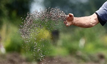 Üreticilere kritik uyarı: Kayıt dışı tohum verim kaybına yol açıyor
