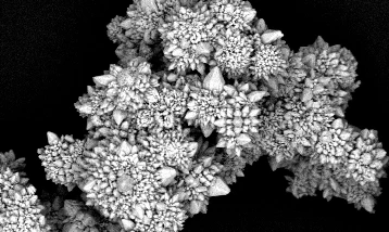 Yakıtsız uçan mikromotorlar geliştirildi: Işık gücüyle hareket ediyor