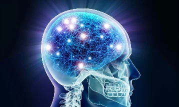 Yaşlanan beyni yenileyen 'Moleküler anahtar' keşfedildi