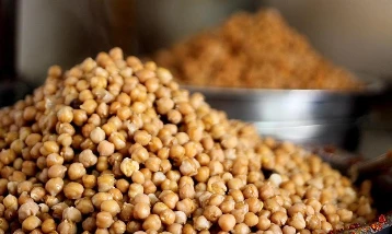 Yüksek sıcaklığa dayanıklı yerli nohut geliştirildi