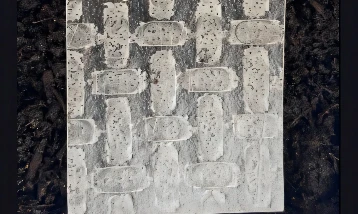Yumuşak robotik için çözüm mutfaktan: Pirinç kağıdı
