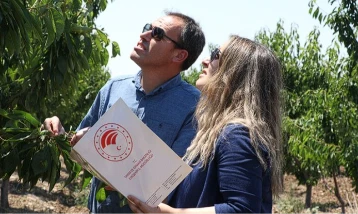 Zirai Don Olayı Araştırma Komisyonu taslak raporunu tamamladı