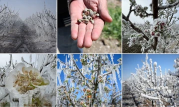 Zirai dondan etkilenen üreticilere yeni destek