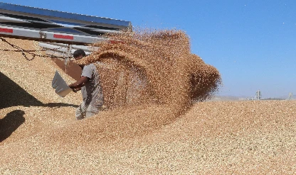 Küresel gıda fiyatları 6 ayın zirvesinde