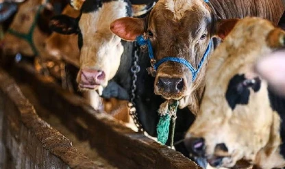 2026 Kurban Bayramı tatili kaç gün, ne zaman?