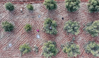 9 ilde ekonomik dönüşüm: Teşviklerle sanayi ve tarım güçlenecek