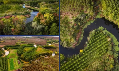 Sakarya’da doğa fotoğrafçıları için eşsiz manzara