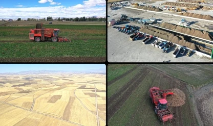 Ağrı'da devlet desteğiyle ekilen tarım ürünlerinde çeşitlilik artıyor