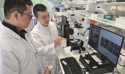 Antibiyotiksiz kemik onarımı: Nanopartiküllerle çift etkili implant