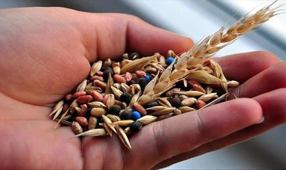 Bakan Yumaklı: Tohum üretimimiz 9 kat arttı, 103 ülkeye ihracat yapıyoruz