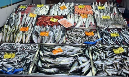 Balık fiyatlarını etkileyebilir! Balıkçılar bir haftadır denize açılamıyor